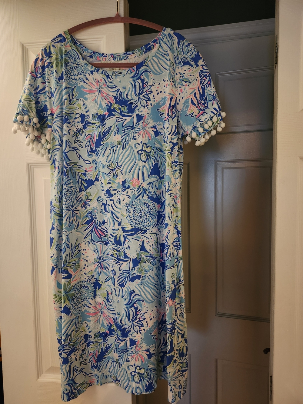 Lilly Pulitzer Light Blue Floral Pom-Pom Sleeve Dress